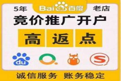 百度竞价代理的客户案例：如何实现ROI最大化